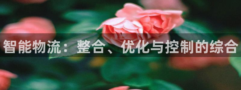 jdb的jp大奖怎么出