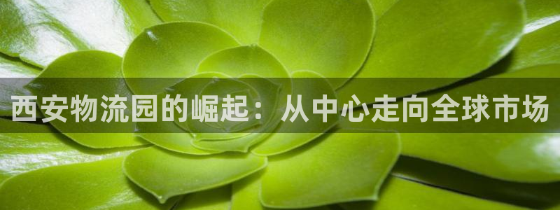 jdb电子游戏哪个容易爆奖